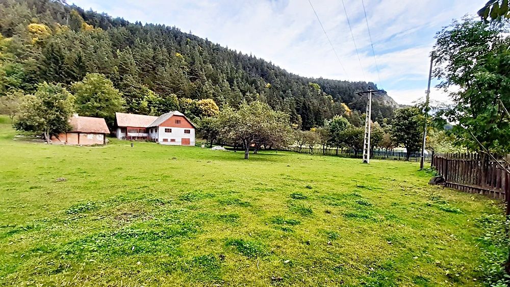 Teren superb de 16240mp, parcelabil, in Bran la intrare in Moeciu de Jos - Poză 18