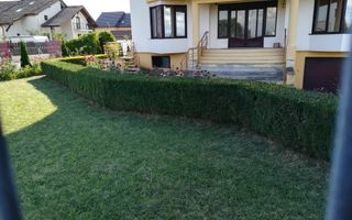 inchirieri Apartamente in casa 2 camere - Poză 3