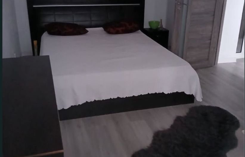 Apartament 2 camere in zona Campia Libertatii - Poză 3