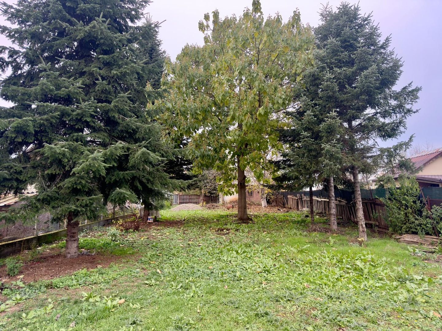 Teren Intravilan | Deschidere Lac Snagov | Ponton | Curatat | Toate utilitatile - Poză 12