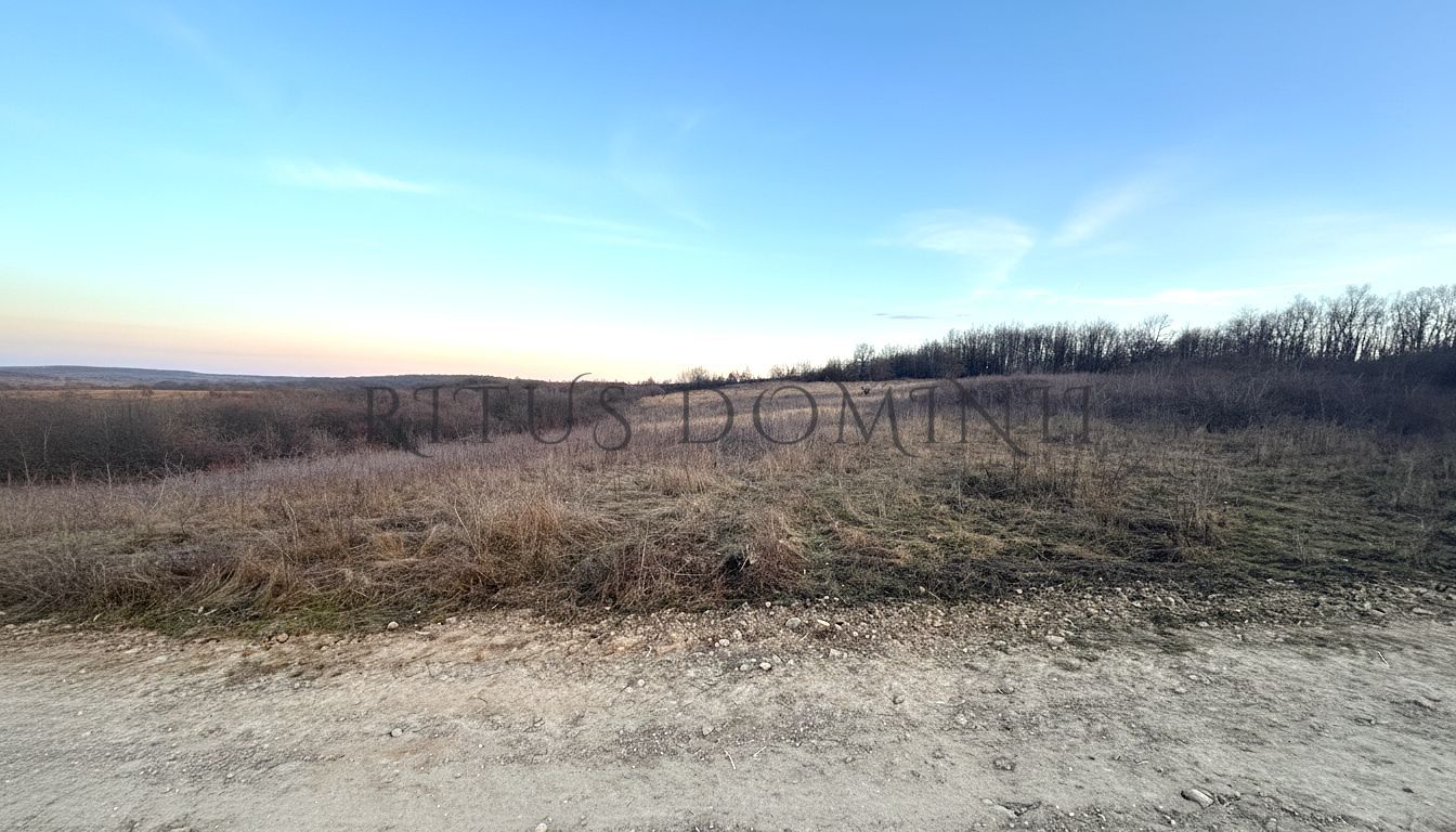 Teren Intravilan Parcelare, Lac Paleu, 8592mp, Deschidere 32ml - Poză 1