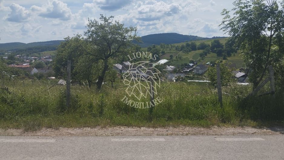 Teren intravilan 5000 mp-utilitati-ideal case-Slatinita - Poză 1