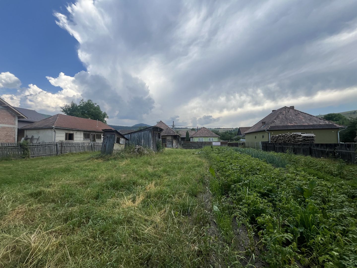 GRADINA BUNICII DE ODINIOARA,DE VANZARE -PAPAUTI,COVASNA. - Poză 5