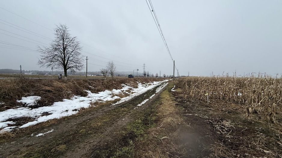 Teren extravilan | Gălănești | 7.276 mp | Front 29 m - Poză 1