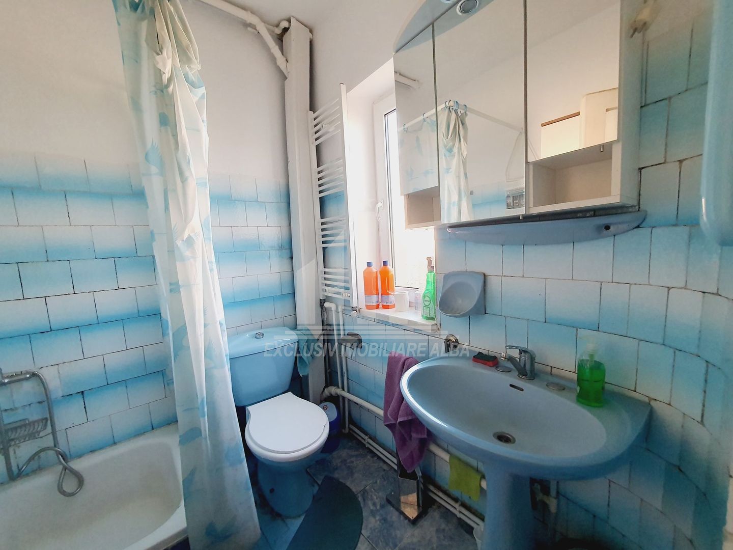 Casa individuala de vanzare, Cetate - Poză 11