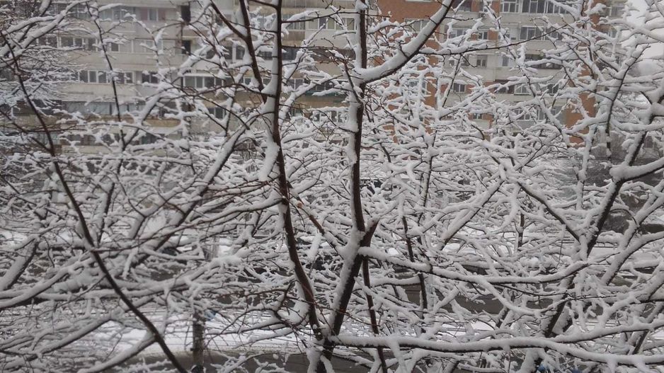 Apartament 3 camere, decomandat,  Mazepa 2 - Poză 3