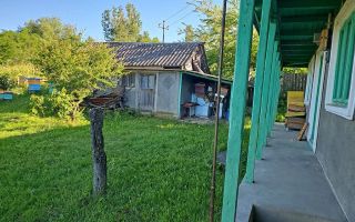 Casă cu teren intravilan de 5000 mp, livadă tânără și vie productivă, în Roșu, comuna Răducăneni, județul Iași - Poză 5