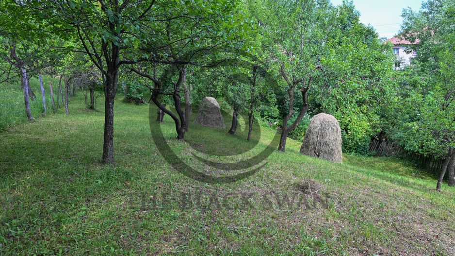 Casa 4 camere de vanzare | Zona linistita | Talea Prahova | Comision0% - Poză 16