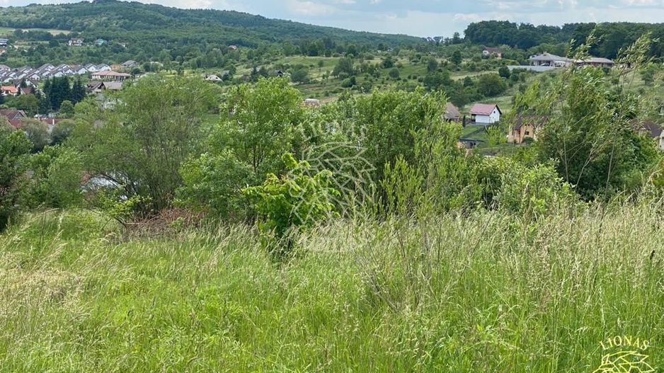 Teren intravilan 2800 mp cu utilitati-ideal case-Valea Ghinzii - Poză 9