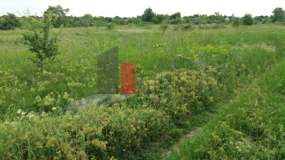 Teren Buftea cu iesire la lac - Poză 10