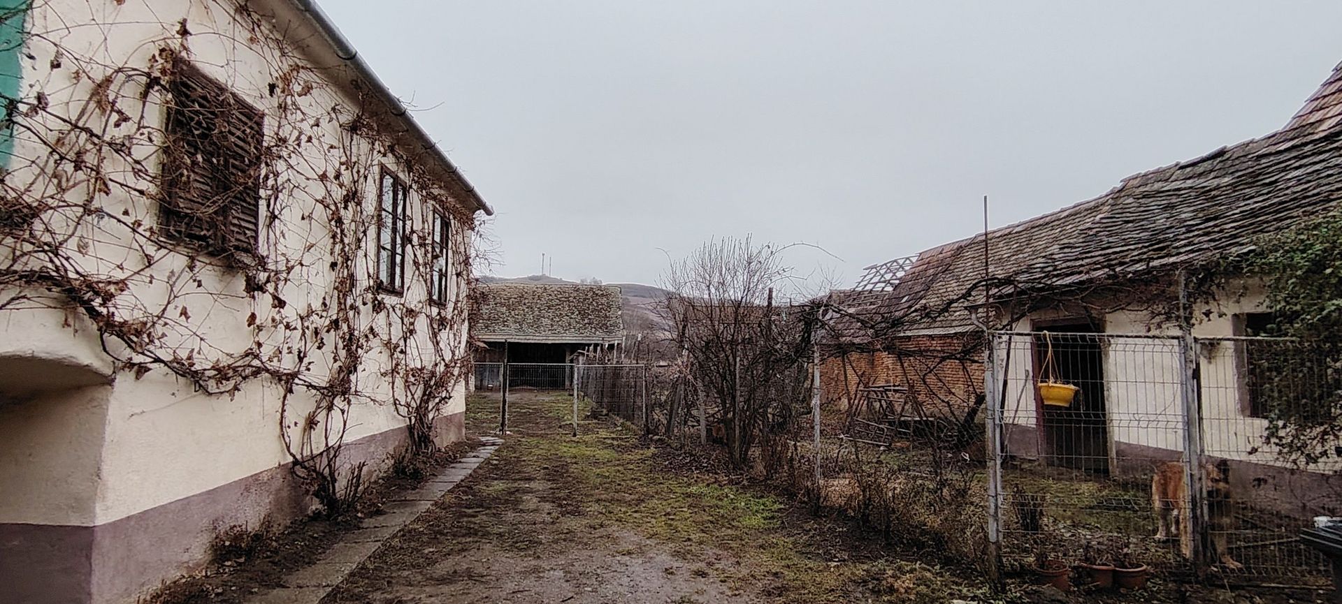 De vânzare casa Pelișor, jud. Sibiu - Poză 2
