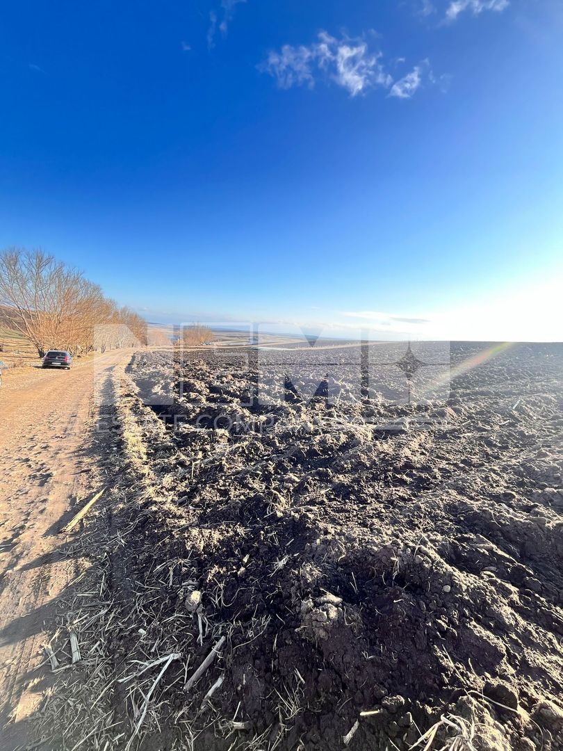 Teren I Suceava I Moara Nica I 2500 Mp I 54.900 Euro - Poză 5