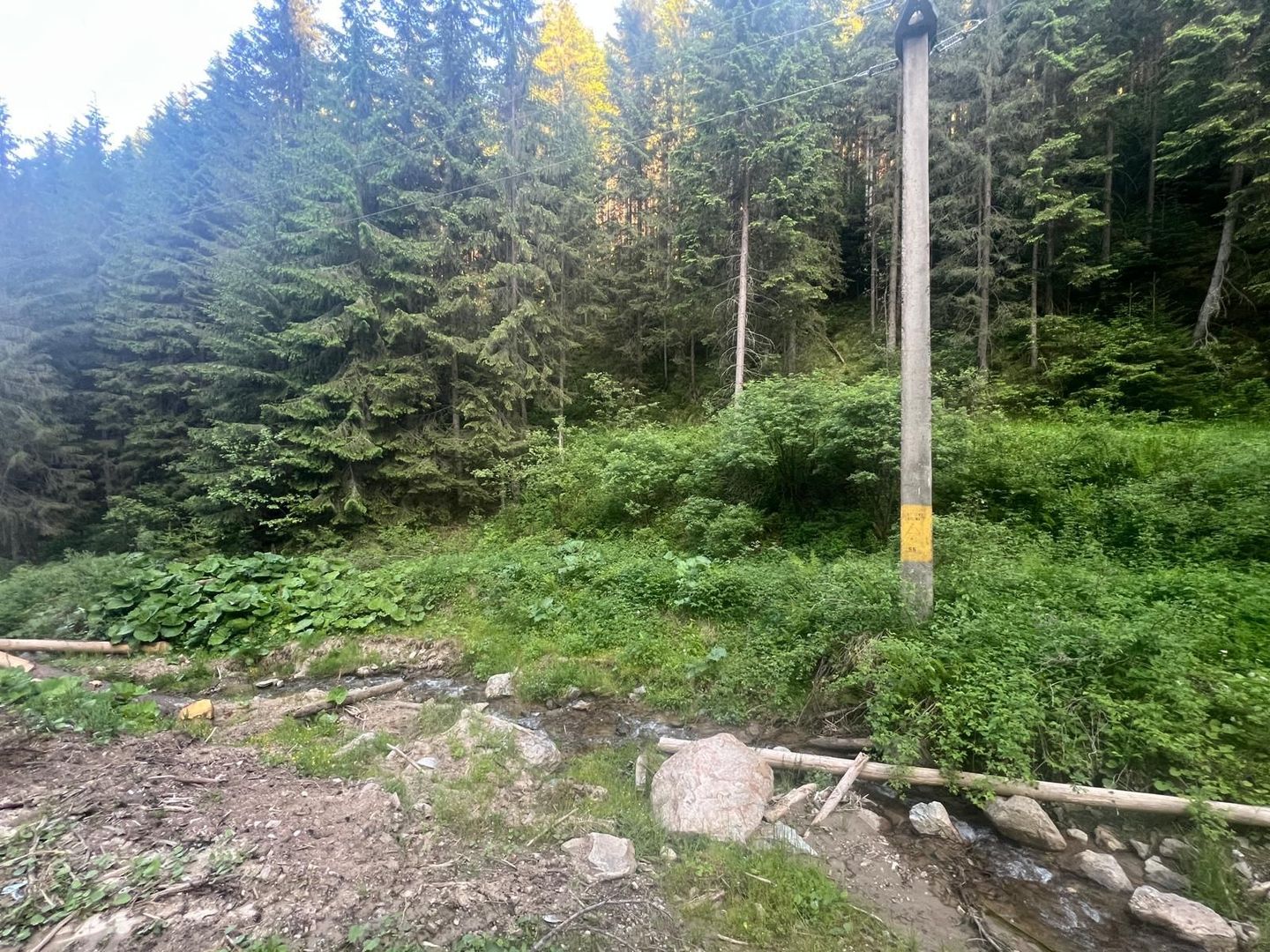 50 hectare teren | Moldova-Sulita | Potential turistic si agricol - Poză 18