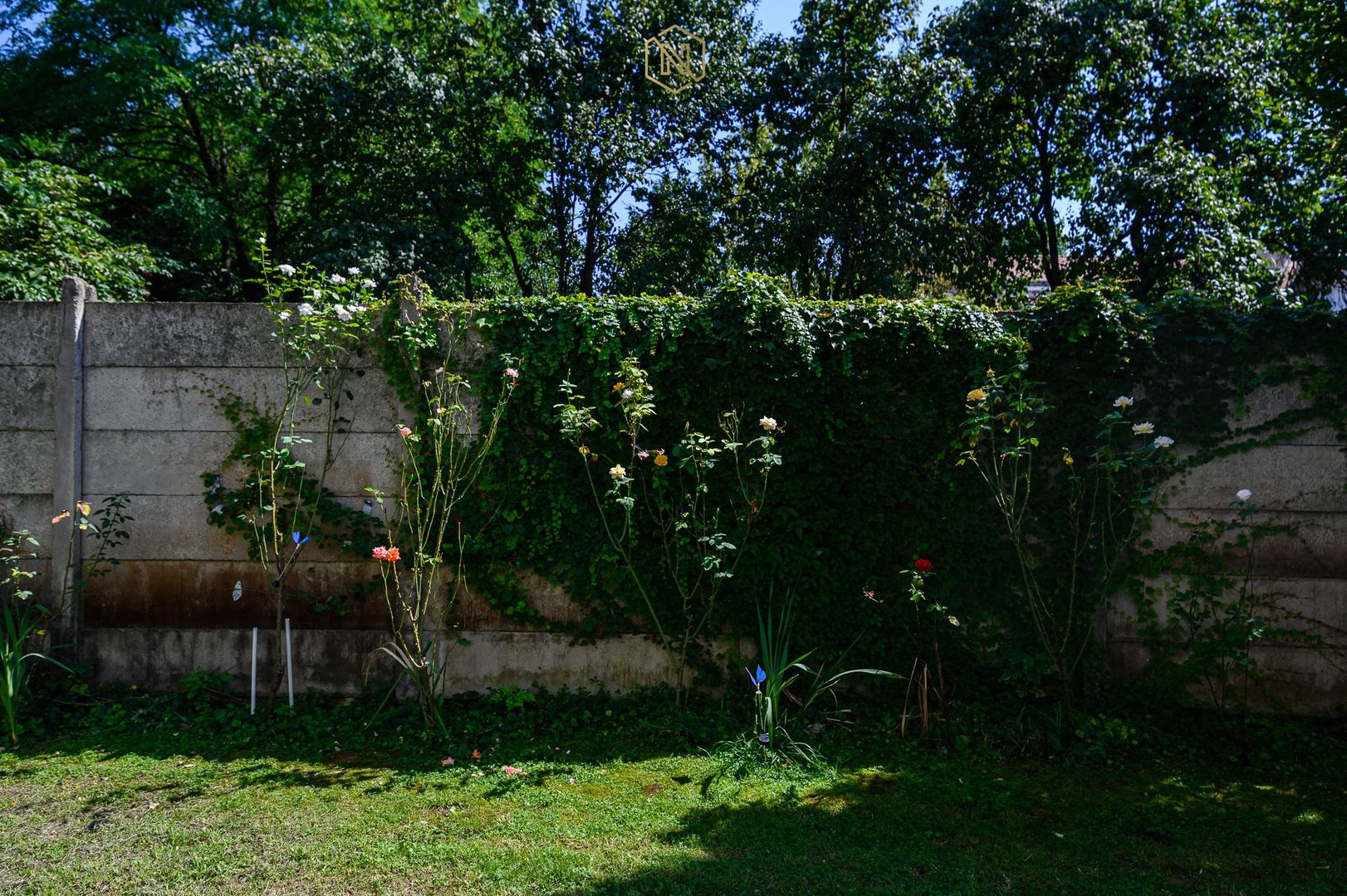 Oferta inchiriata - Apartament langa Facultati, Central - 2 camere - Poză 20