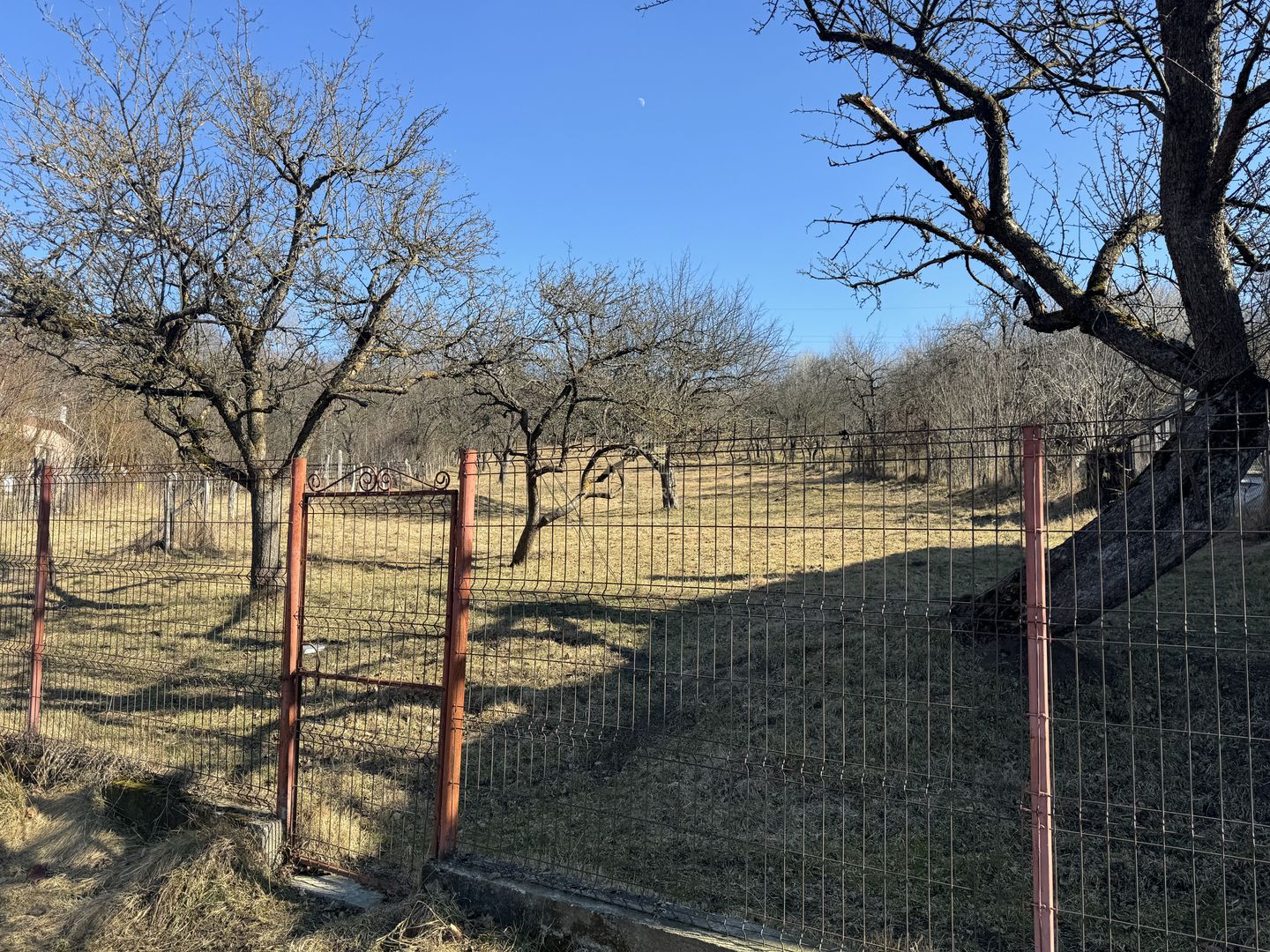 TEREN INTRAVILAN 3400 MP, VOINESTI, LERESTI - Poză 4