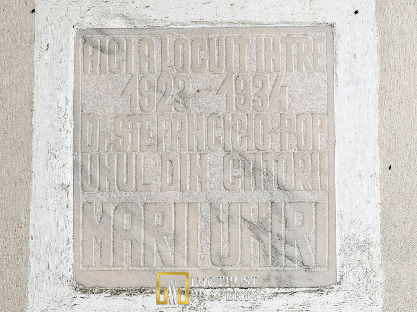 Castel istoric de vânzare în Conop | proprietatea lui Cicio Pop - Poză 12