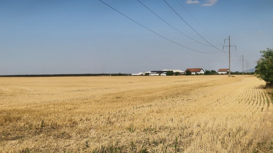 Teren extravilan 7.915Mp, între Vladimirescu-Horia - Poză 2
