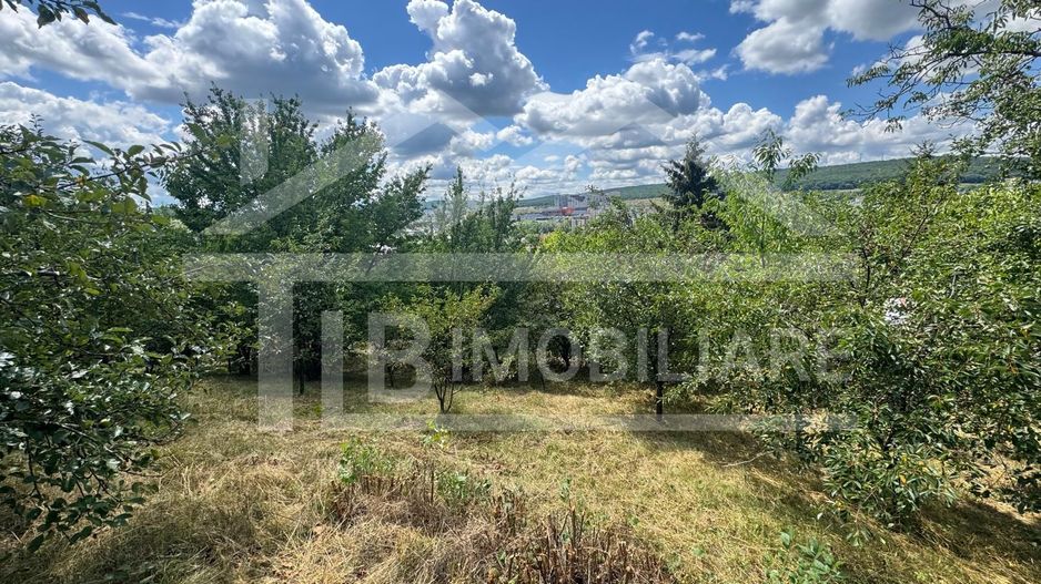 Casa cu 3 camere, 2300mp teren, zona SubPadure - Poză 14