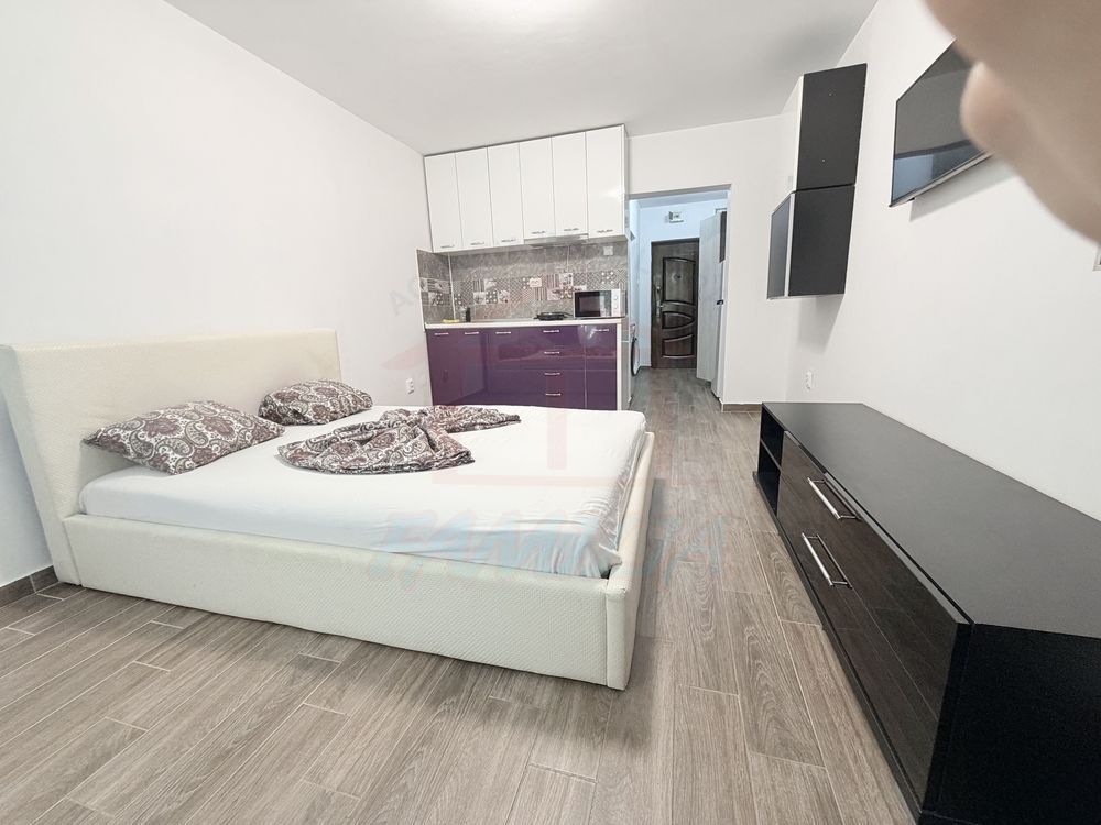 De închiriat 1 camera, Tiglina 1, 260 Euro/luna - Poză 2