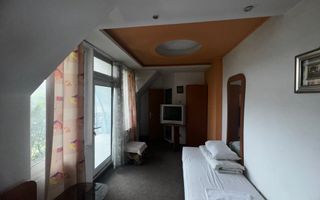 VILA - PENSIUNE CU RESTAURANT + SI TEREN 6406 MP, VALEA MARE PRAVAT, - Poză 34