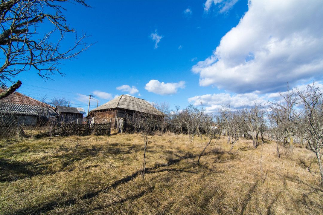 Casa traditionala argeseana – comuna Vedea, jud. Arges - Poză 7