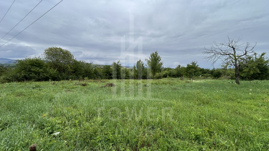 Teren intravilan de vânzare în Daia Nouă – 1.000 mp - Poză 3