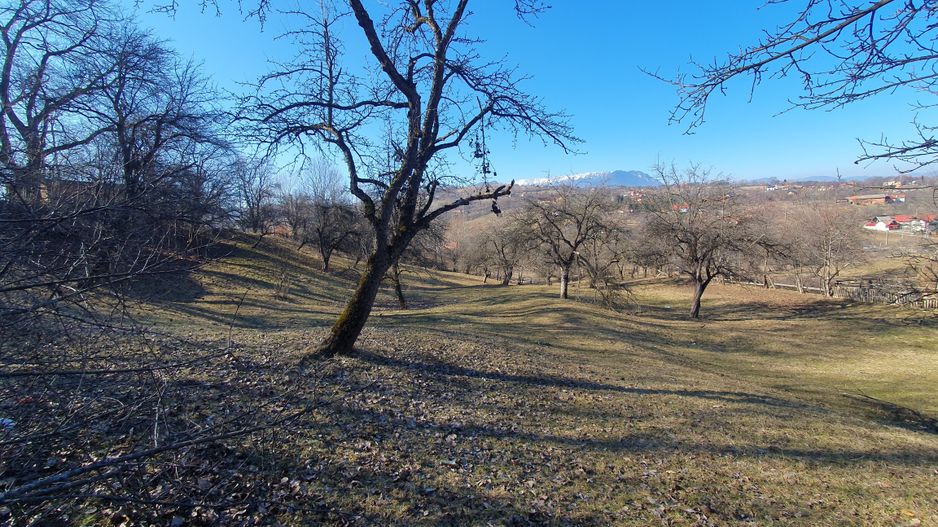 Bran-Sohodol, Teren 4039mp cu casă bătrânească, utilități, comision zero. - Poză 10