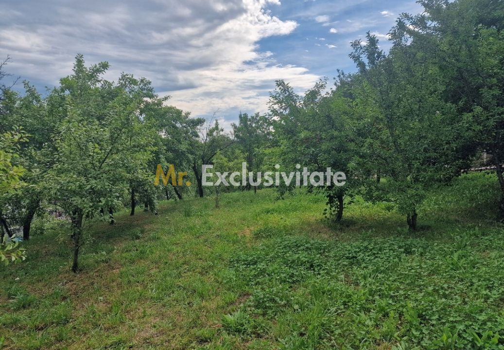 Teren intravilan 1400mp-Albota! - Poză 2