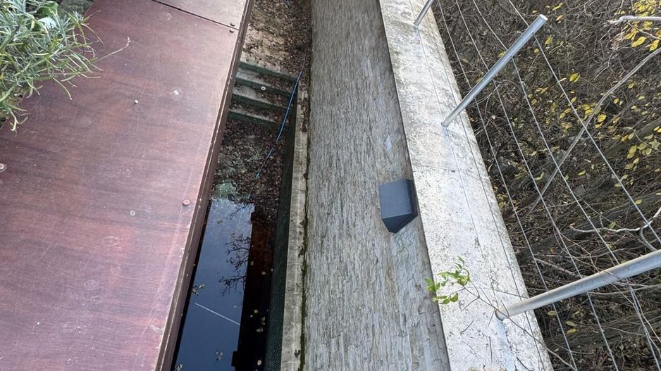 Vilă Premium cu Piscină Încălzită | Sector 1 | Banu Manta-Victoriei - Poză 7