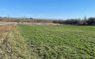 Teren 4316 mp Giarmata Vii-zona mica industrie, depozitare si servicii - Poză 4