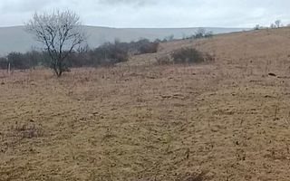 Teren 10000mp intravilan Chinteni 14 case aprobate  Investiție dezvoltator - Poză 3