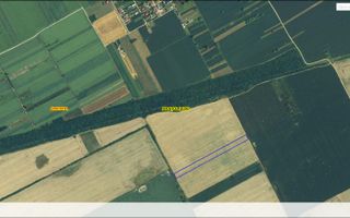 GRADISTEA - Sat Sitaru - Tarla 41, vanzare 14080 mp. teren agricol - Poză 2