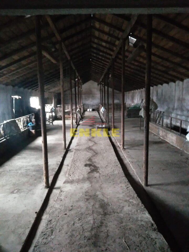 Casa P+1, 200 mp utili,Hala nr 1, 350 mp,Hala nr 2,250 mp,Teren 14000 mp,zona Vladeni,pret negociabil - Poză 4