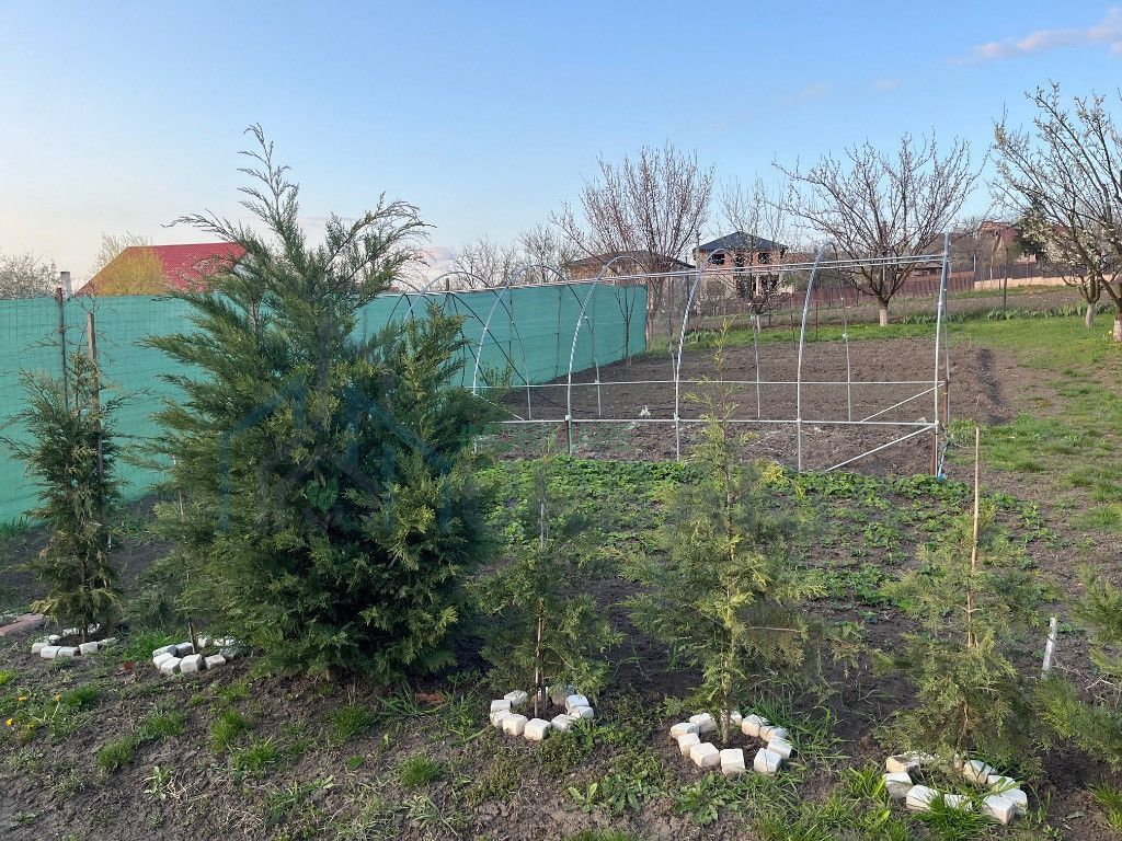 Casă de familie în Dorobant, zonă metropolitană, 253 mp, P+M+Pod, 2 apartamente decomandate, 2012 - Poză 4