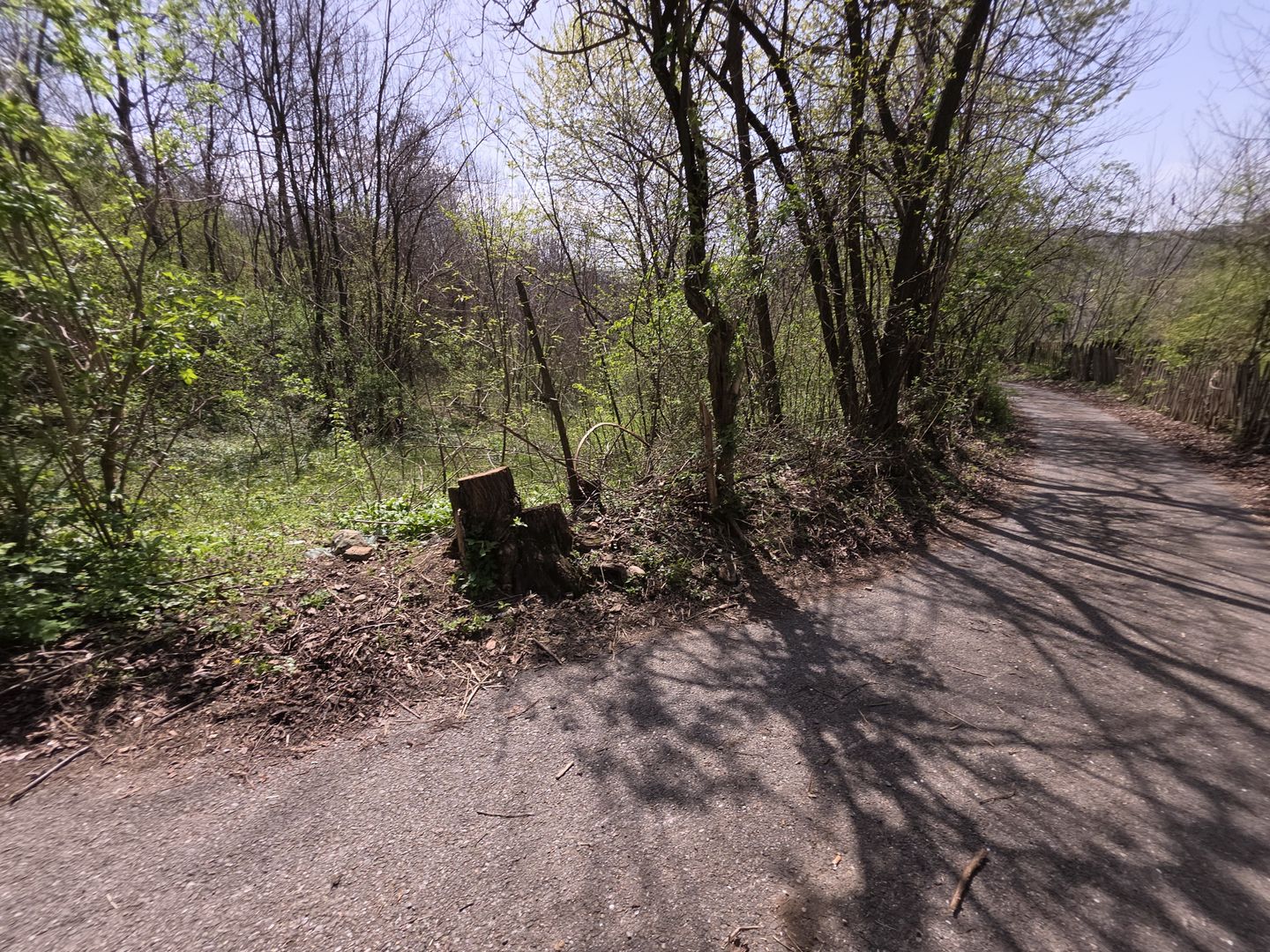 Investitie sigura! Teren foarte bine pozitionat in Brebu, Prahova - Poză 7