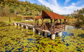 Domeniu în satul Căprioara - Poză 3