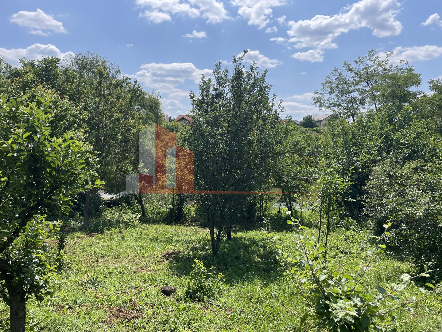 Teren Pipera | Erou Serban Ion - Poză 2