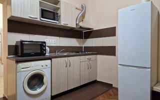 1 cameră, Central, Calea Motilor, UMF, USAMV, Zona Platinia - Poză 4