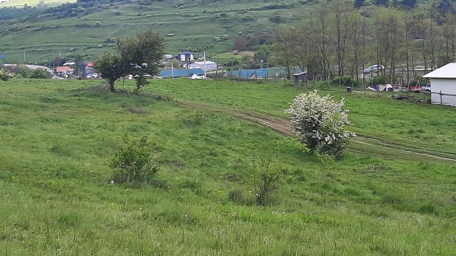 Teren in Valcele - Poză 6