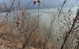 Teren intravilan Dubova - la Dunare - Poză 5