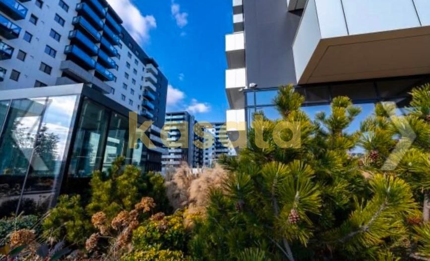 Studio Cortina North |  Vedere libera | Pipera - Poză 18