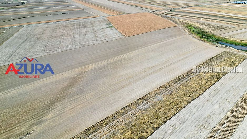 Teren agricol, 5HA, comasat, drum acces, Cateasca - Poză 1