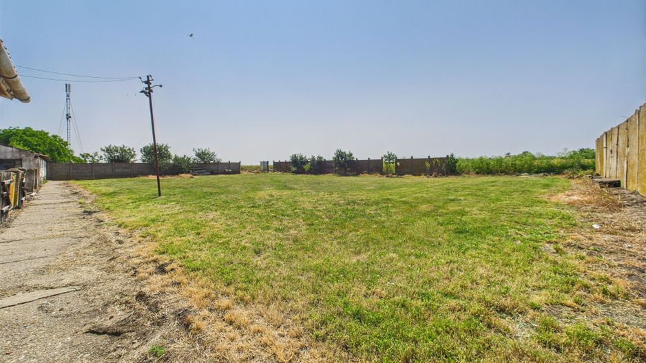 Complex industrial cu hale și teren  în Orțișoara - Poză 30