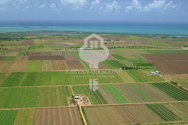 TEREN DE VANZARE - Poză 2