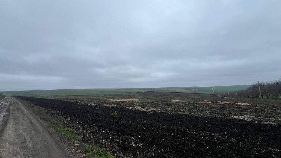 Teren Agricol 5.24 HA com. Cruzești mun. Chișinău - Poză 9