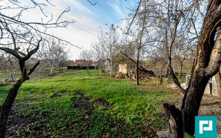 Casă cu teren în Pârneava - Poză 7