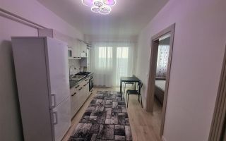 Apartament 1 camera Bucium-300Euro - Poză 6