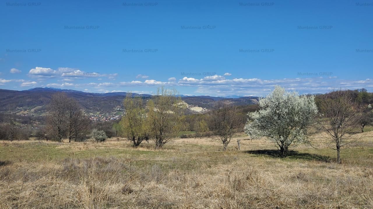 Ocazie ! OCNELE MARI - Sorat, 17,83 Ha. cu pozitie exceptionala - Poză 3