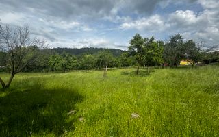 TEREN INTRAVILAN 4600 MP, VOINESTI, LERESTI, ARGEȘ - Poză 5