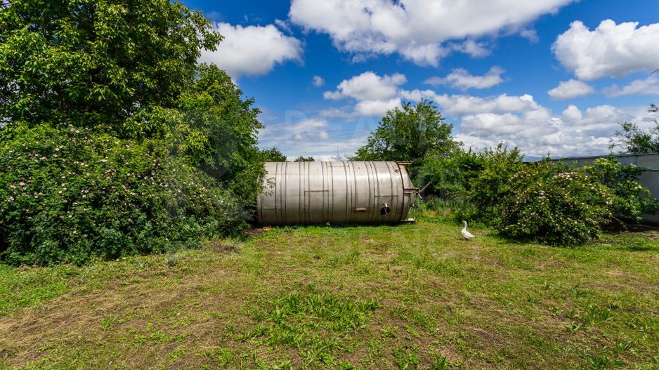 Vânzare,teren pentru construcție,1,18 ha, satul Maximovca, Anenii Noi - Poză 13